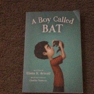 Book  A BOY CALLED BAT